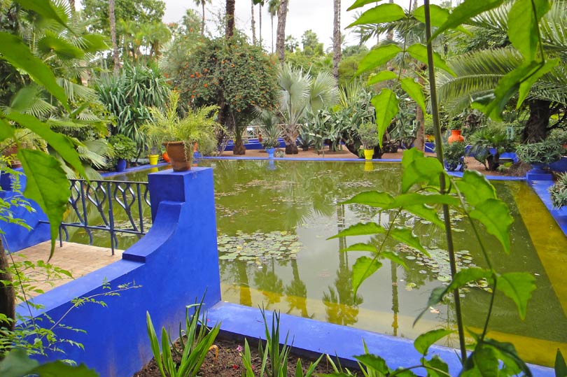 pond-at-majorelle-garden