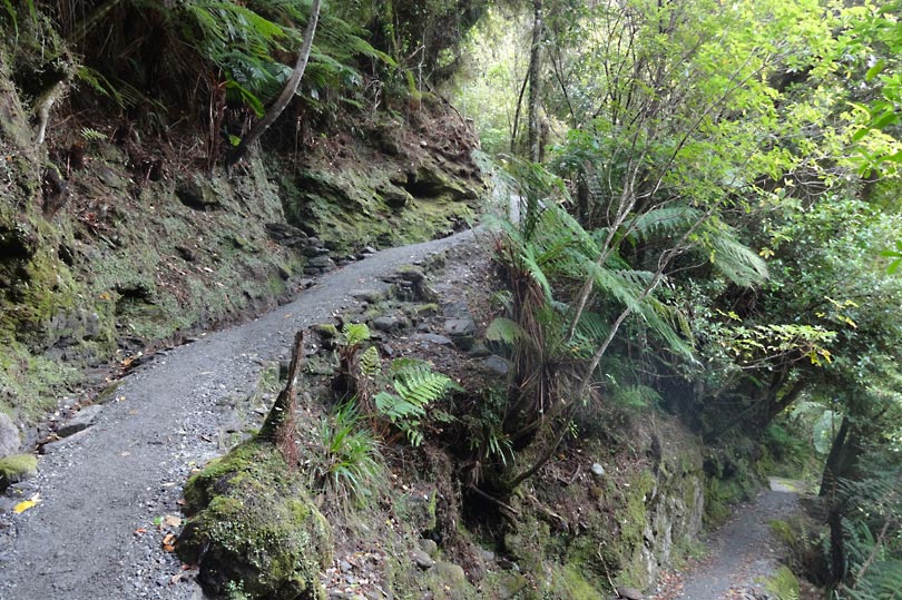 Tatare Tunnels Walk, Franz Josef New Zealand