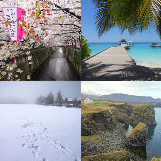 The four seasons - spring, summer, autumn, winter