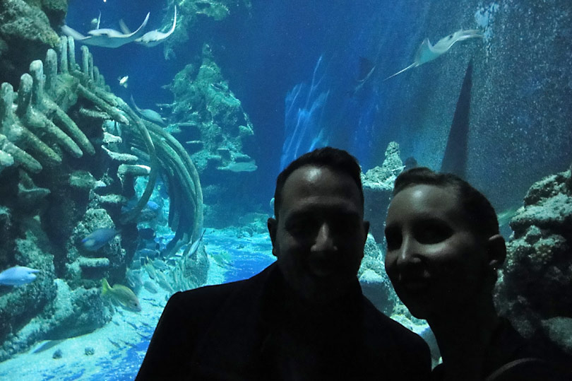 Aquarium selfie!