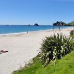 The picturesque settlement of Hahei in the Coromandel Peninsula of the North Island, New Zealand.