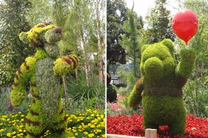 Tigger and Pooh topiary at Epcot during the Flower & Garden festival