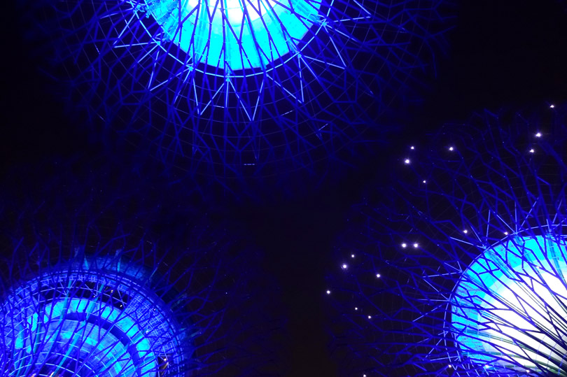 Surreal Singapore - looking up at the magical Supertrees