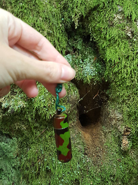 a beginners guide to geocaching