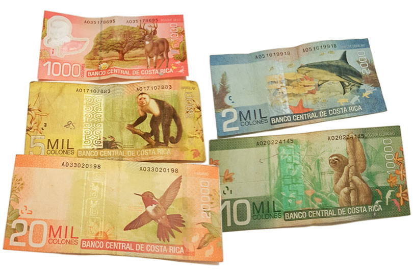 How pretty are the Costa Rican bank notes?!