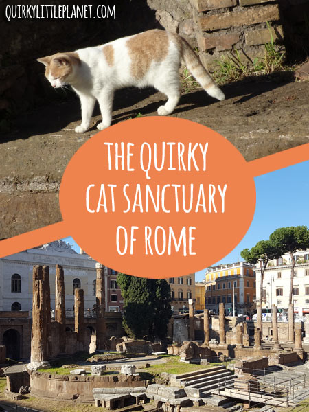 The quirky cat sanctuary of Rome - something not to be missed for all those crazy cat folk out there!