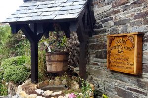 Museum of Witchcraft wishing well