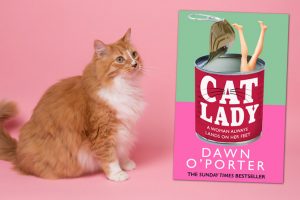 Cat Lady By Dawn O'Porter