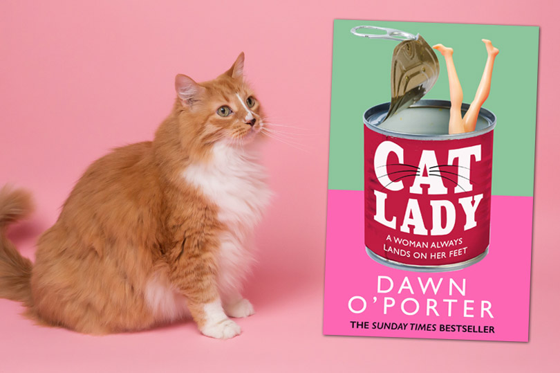 Cat Lady By Dawn O'Porter