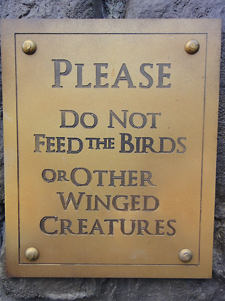 please-dont-feed-the-birds