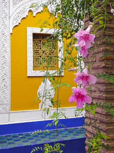 vibrant-colours-at-the-majorelle-garden-marrakech
