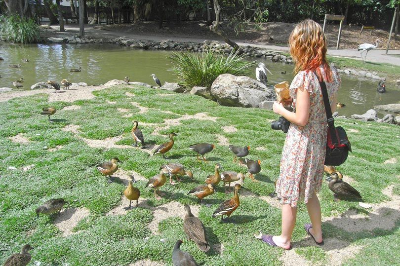 Feeding the birds at The Wildlife Habitat