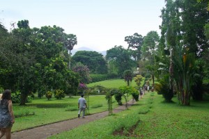 Botanical Garden, Sri Lanka