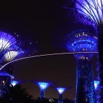 The Supertrees at Gardens by the Bay