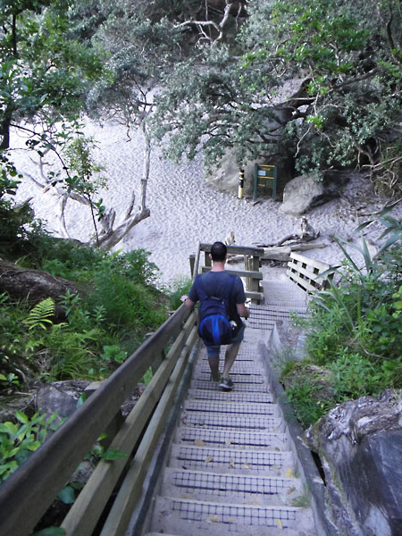 The steps down towards Cathedral Cove in New Zealand