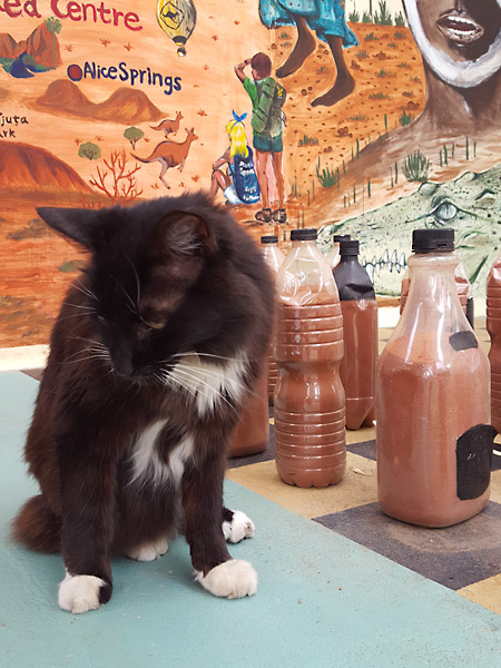 Cat sitting on a giant chess board in Alice Springs, Australia