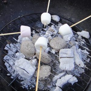 Toasting marshmallows over a barbecue