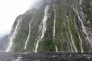 Many waterfalls can be seen at Milford Sound when it rains