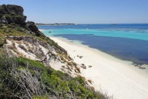 Beautiful Rottnest Island - catch the ferry from Fremantle and enjoy a day with the quokkas!